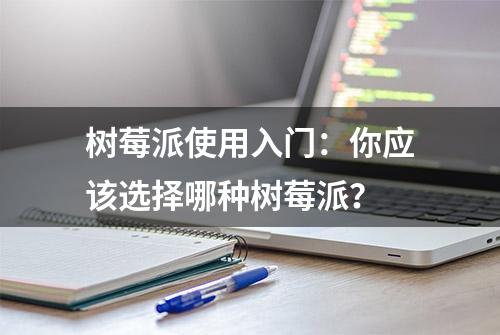 树莓派使用入门：你应该选择哪种树莓派？