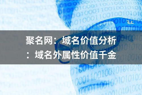 聚名网：域名价值分析：域名外属性价值千金