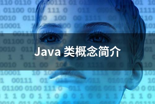 Java 类概念简介