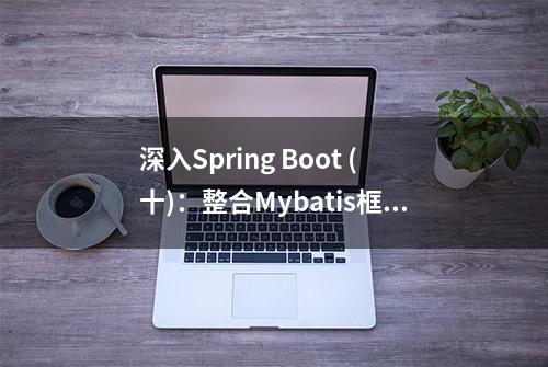 深入Spring Boot (十)：整合Mybatis框架详解