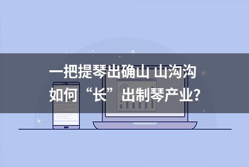 一把提琴出确山 山沟沟如何“长”出制琴产业？