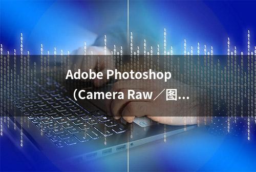 Adobe Photoshop（Camera Raw／图层／通道的介绍）