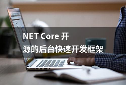 NET Core 开源的后台快速开发框架