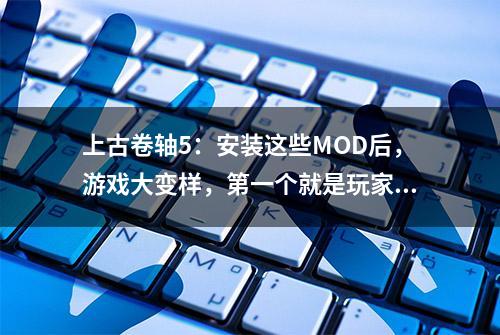 上古卷轴5：安装这些MOD后，游戏大变样，第一个就是玩家的梦想