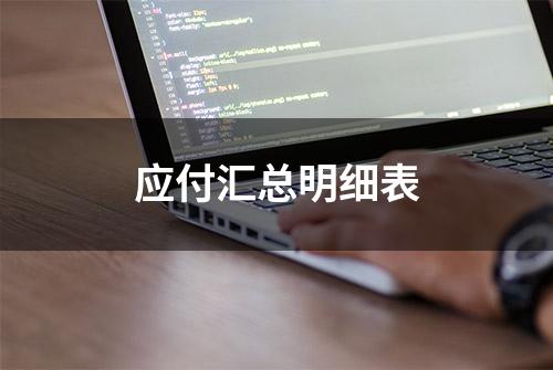 应付汇总明细表