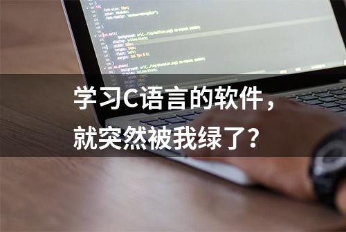 学习C语言的软件，就突然被我绿了？