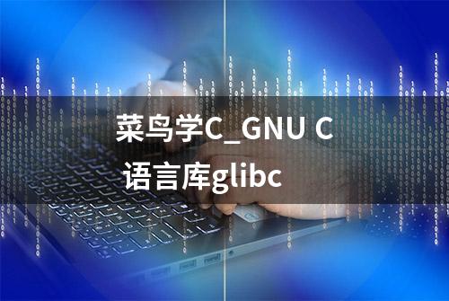 菜鸟学C_GNU C 语言库glibc