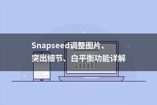 Snapseed调整图片、突出细节、白平衡功能详解