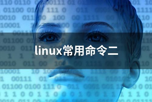 linux常用命令二