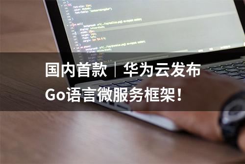 国内首款｜华为云发布Go语言微服务框架！