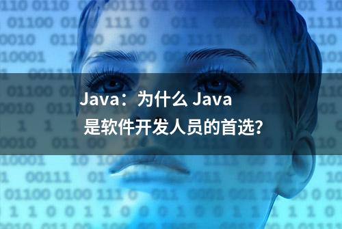 Java：为什么 Java 是软件开发人员的首选？