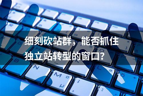 细刻砍站群，能否抓住独立站转型的窗口？