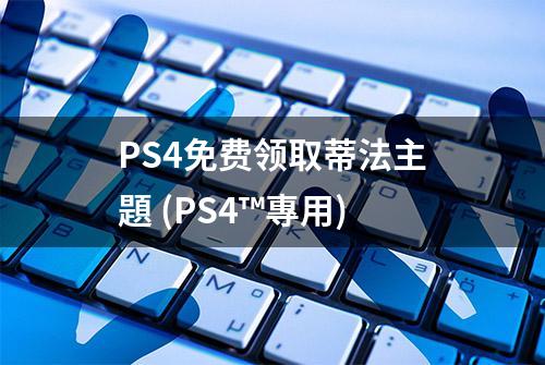 PS4免费领取蒂法主題 (PS4™專用)