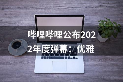 哔哩哔哩公布2022年度弹幕：优雅