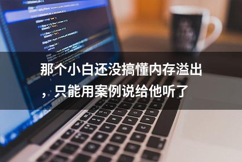 那个小白还没搞懂内存溢出，只能用案例说给他听了