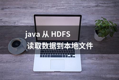 java 从 HDFS 读取数据到本地文件