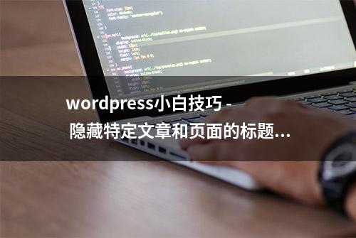 wordpress小白技巧 - 隐藏特定文章和页面的标题（中英对照）