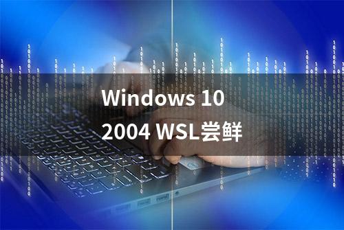 Windows 10 2004 WSL尝鲜