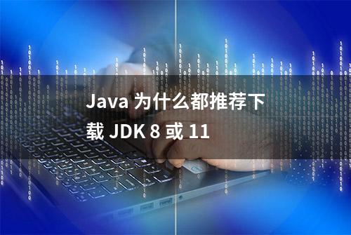 Java 为什么都推荐下载 JDK 8 或 11