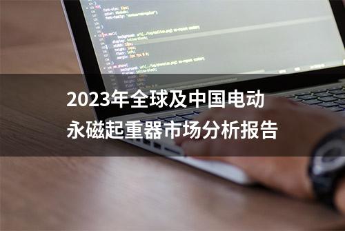 2023年全球及中国电动永磁起重器市场分析报告