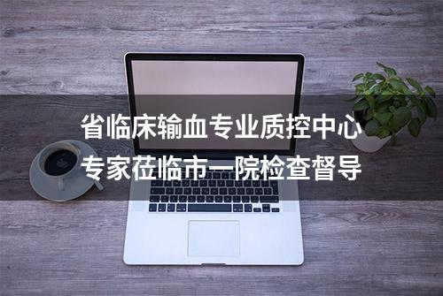 省临床输血专业质控中心专家莅临市一院检查督导