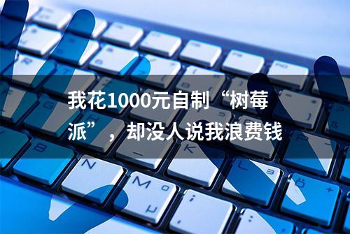 我花1000元自制“树莓派”，却没人说我浪费钱