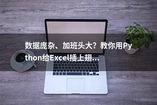 数据庞杂、加班头大？教你用Python给Excel插上翅膀