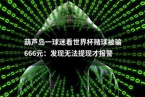 葫芦岛一球迷看世界杯赌球被骗666元：发现无法提现才报警