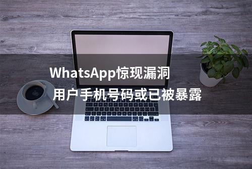 WhatsApp惊现漏洞 用户手机号码或已被暴露