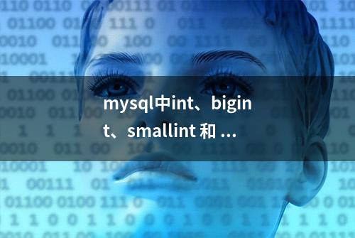 mysql中int、bigint、smallint 和 tinyint的区别与长度的含义