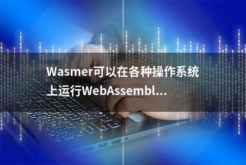 Wasmer可以在各种操作系统上运行WebAssembly