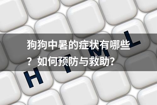 狗狗中暑的症状有哪些？如何预防与救助？