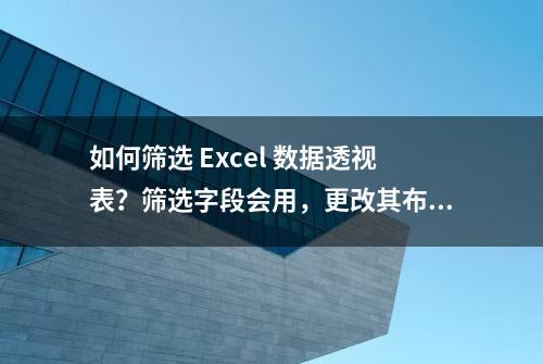 如何筛选 Excel 数据透视表？筛选字段会用，更改其布局也会吗？