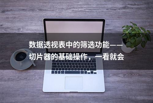 数据透视表中的筛选功能——切片器的基础操作，一看就会