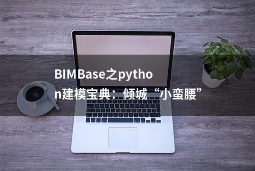 BIMBase之python建模宝典：倾城“小蛮腰”