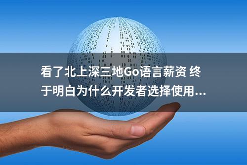 看了北上深三地Go语言薪资 终于明白为什么开发者选择使用它