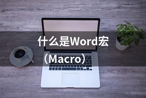 什么是Word宏（Macro）