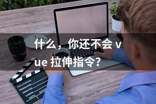 什么，你还不会 vue 拉伸指令？