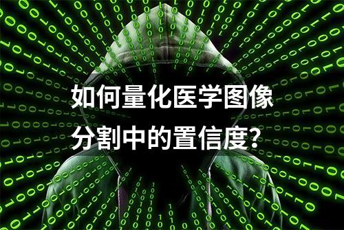 如何量化医学图像分割中的置信度？