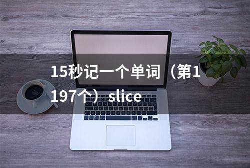 15秒记一个单词（第1197个）slice