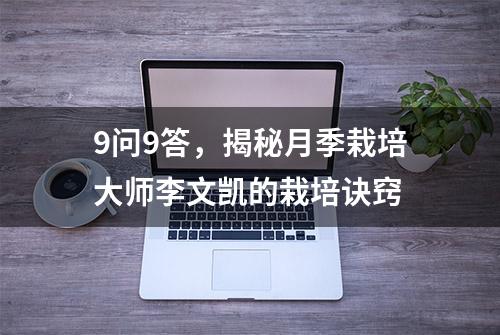 9问9答，揭秘月季栽培大师李文凯的栽培诀窍