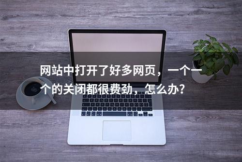 网站中打开了好多网页，一个一个的关闭都很费劲，怎么办？