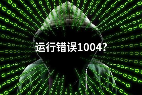 运行错误1004？