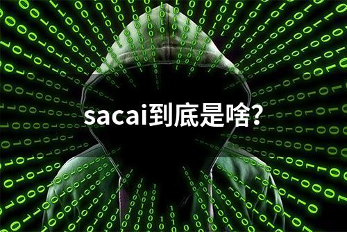 sacai到底是啥？