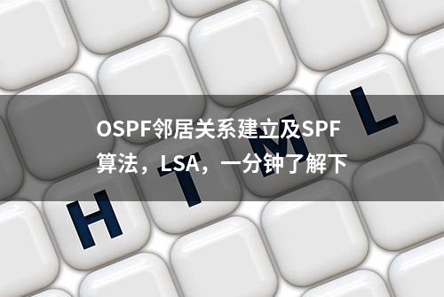 OSPF邻居关系建立及SPF算法，LSA，一分钟了解下