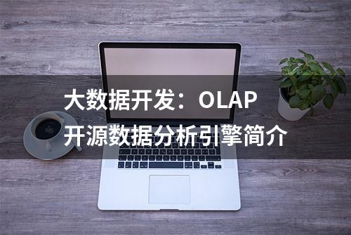 大数据开发：OLAP开源数据分析引擎简介