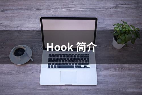 Hook 简介