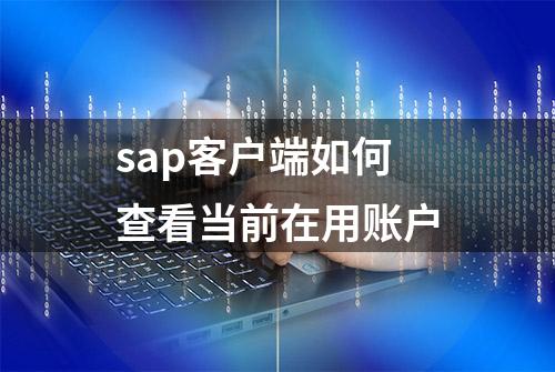 sap客户端如何查看当前在用账户