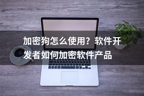 加密狗怎么使用？软件开发者如何加密软件产品