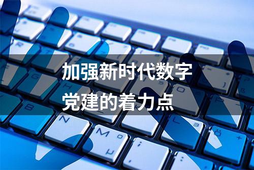 加强新时代数字党建的着力点